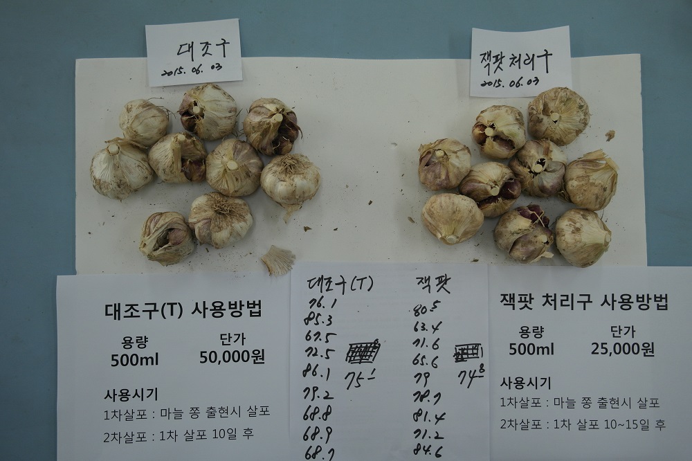 SAM_3579 홈페이지용.jpg